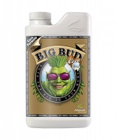 Big Bud Coco Liquid Advanced Nutrients 1 л