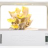 Mushroom Grow kit - система выращивания грибов