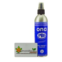 Нейтрализатор запаха ONA Spray PRO 250 мл