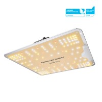 SF-1000 100w Samsung LM301H EVO