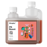 SIMPLEX PK Boost 500 мл