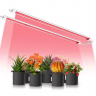 Панель 80 Вт с красным спектром 660 нм