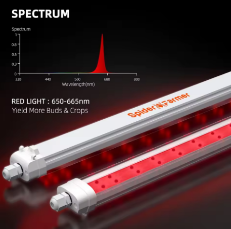 Панель 80 Вт с красным спектром 660 нм